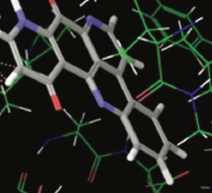 Science by a Scientist: Macromolecules